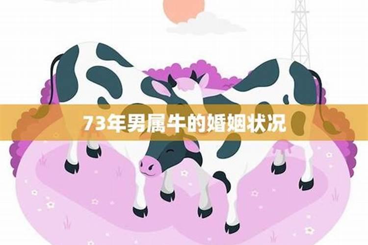 73年属牛男人婚姻怎么样