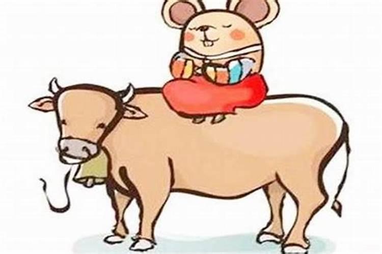 牛和鼠相配婚姻财运