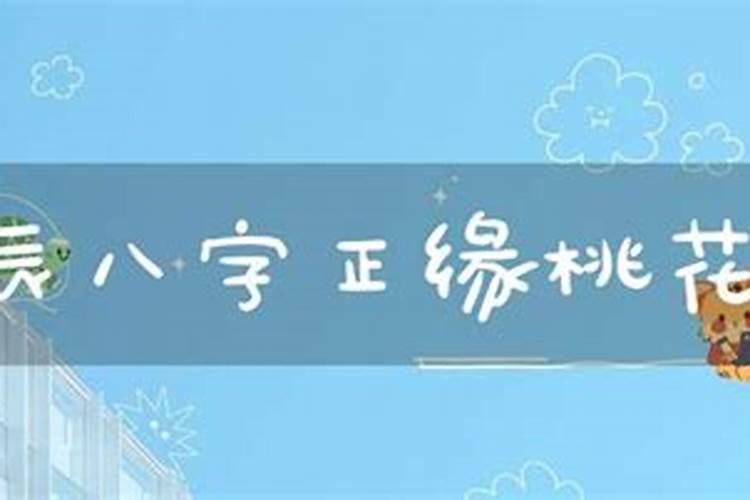 八字里正缘桃花指的是什么意思啊