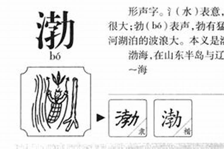 渤字五行属什么