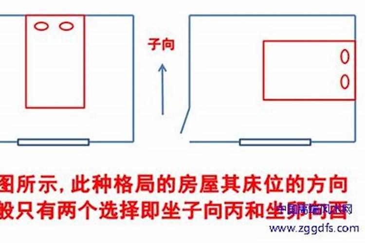 老鼠和鸡属相合不合工作