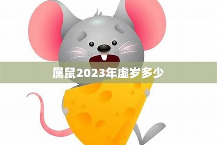 属鼠2023年家破人亡