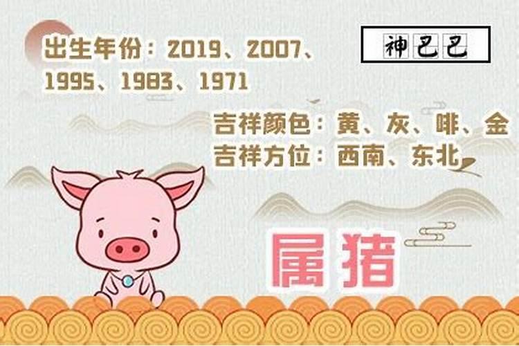 1959年属猪的在2022年的命运