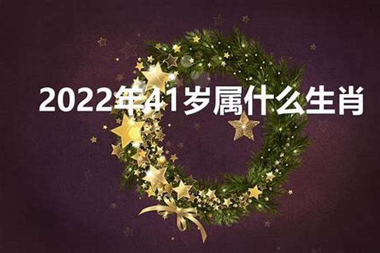 41是什么生肖