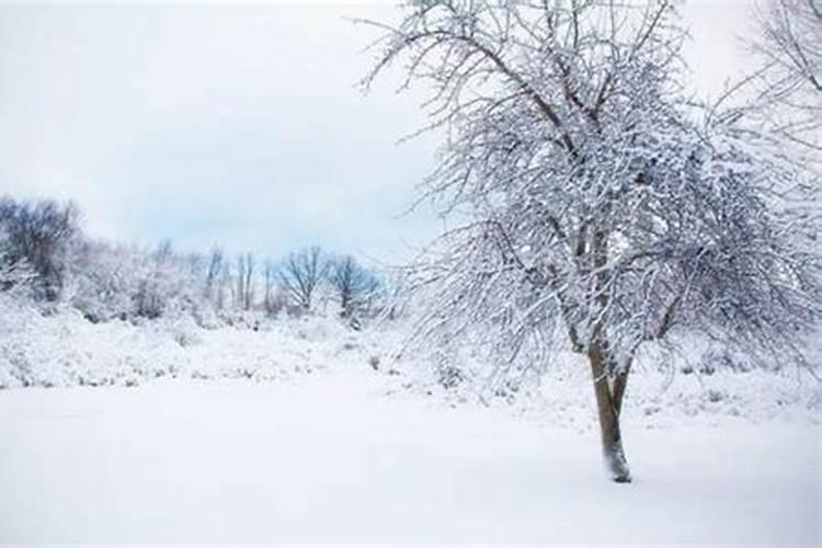 梦见下雪了是什么意思