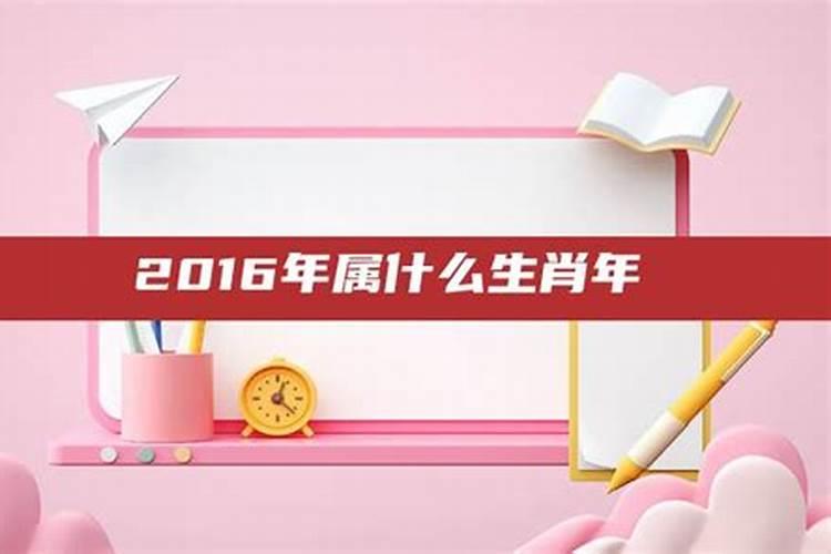 2016年属什么