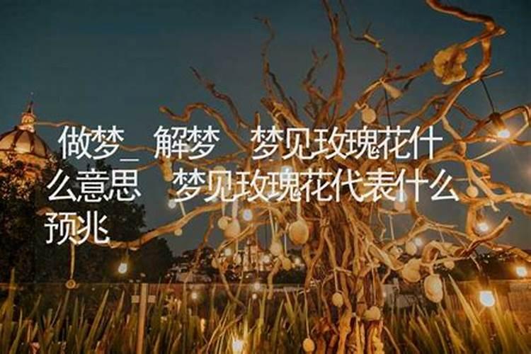 梦到玫瑰花预示着什么预兆