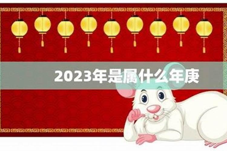 2019年属什么年