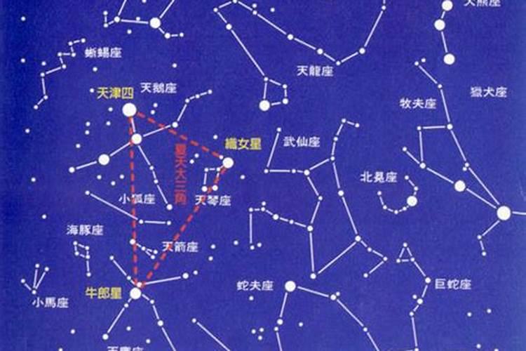 织女星属于什么星座