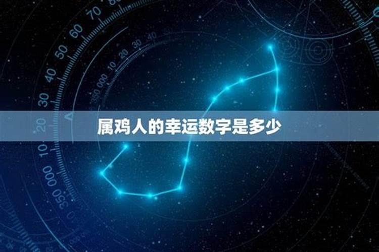 属鸡的幸运数字是多少