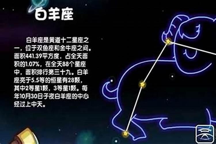 8.4什么星座