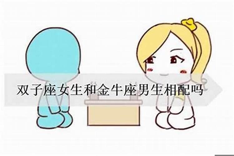 双子女专一吗