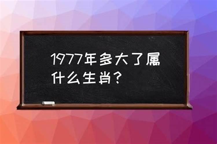 1977年属什么生肖