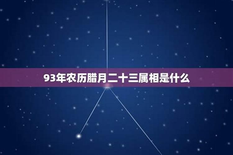 农历腊月初五是什么星座