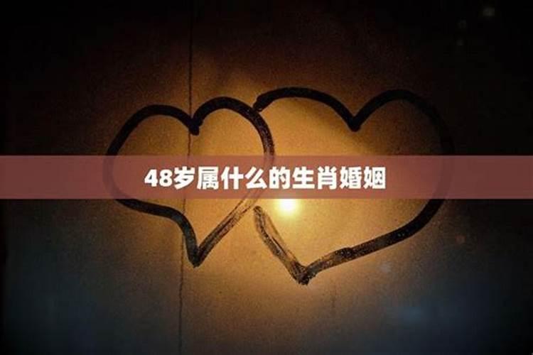 48岁属什么的