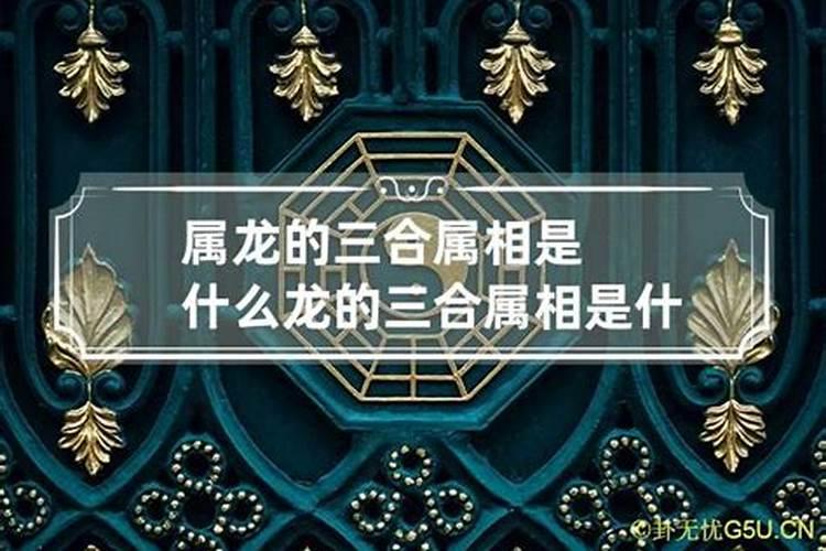 属相是什么意思