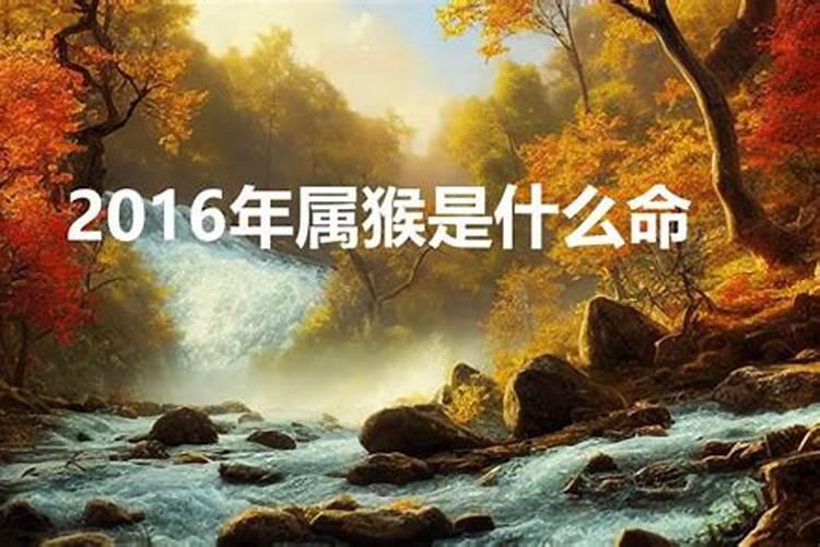 2016年属什么