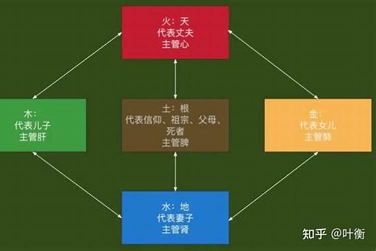 教育五行属什么