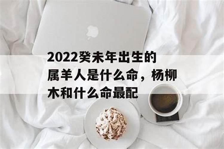 杨柳木命是什么意思