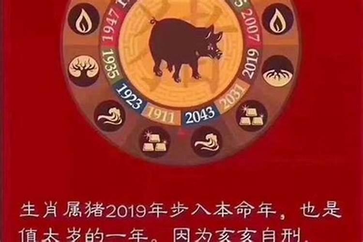 2019年什么生肖