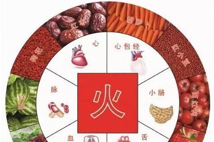 食五行属什么