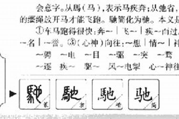 驰字五行属什么