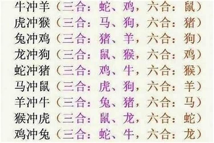 6合生肖是什么