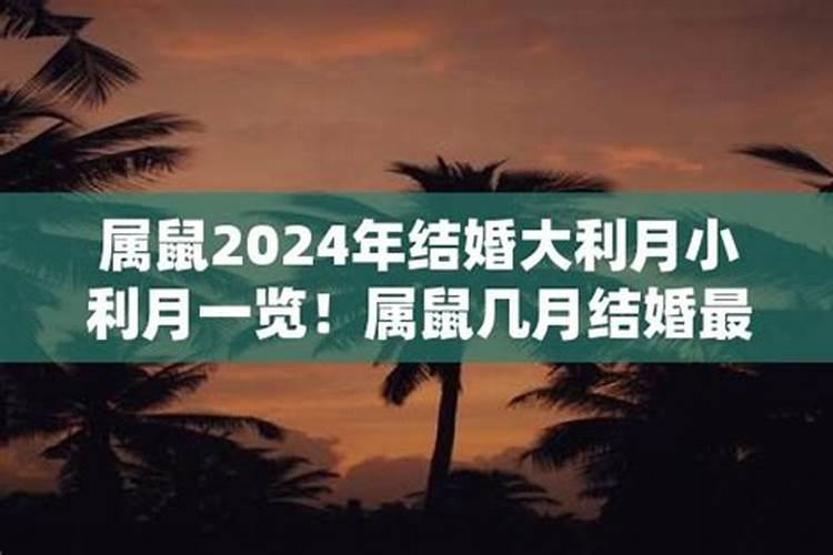 96属鼠人哪年适合结婚