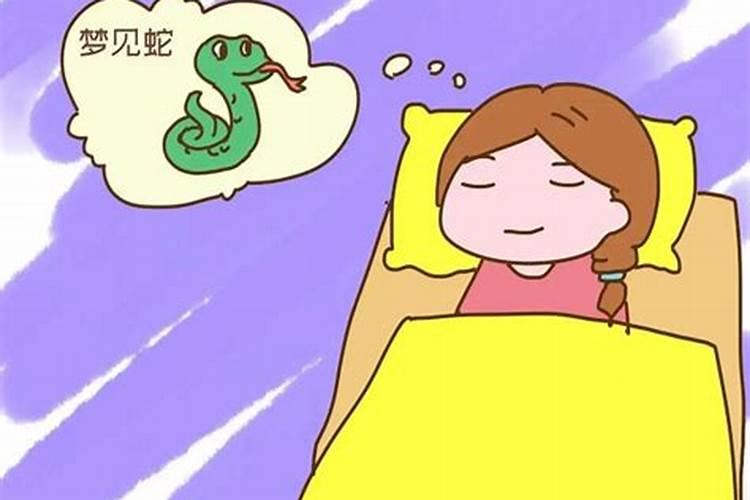 梦见大蟒蛇是什么预兆女性怀孕