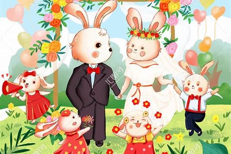 兔结婚十二生肖哪个合适