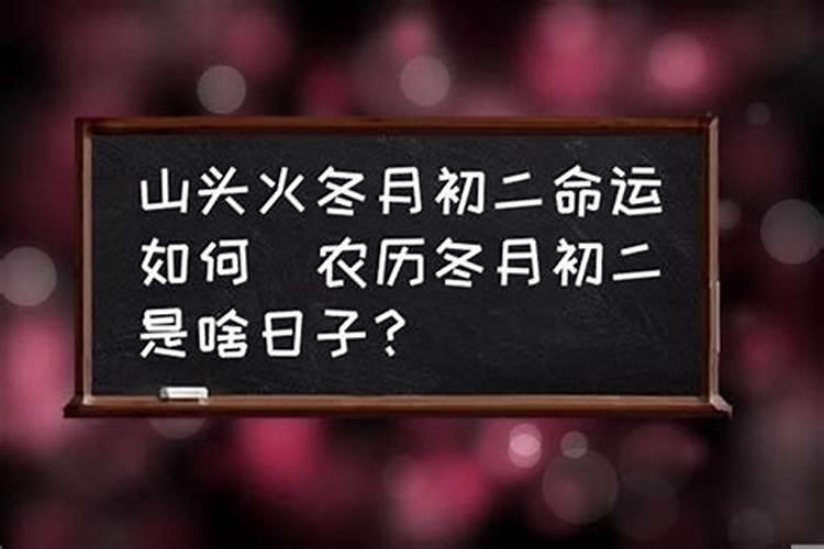 壬辰日柱看2023年壬寅年运势