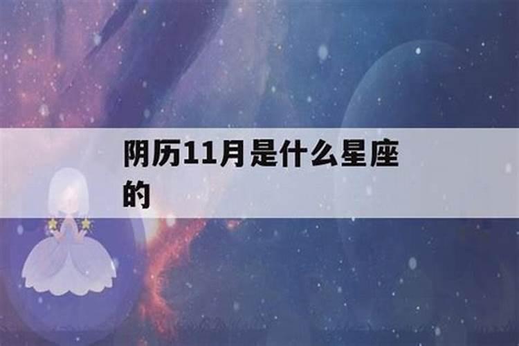 阴历11月是什么星座