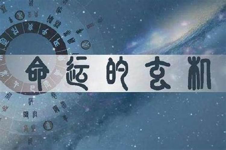 容易当官的八字