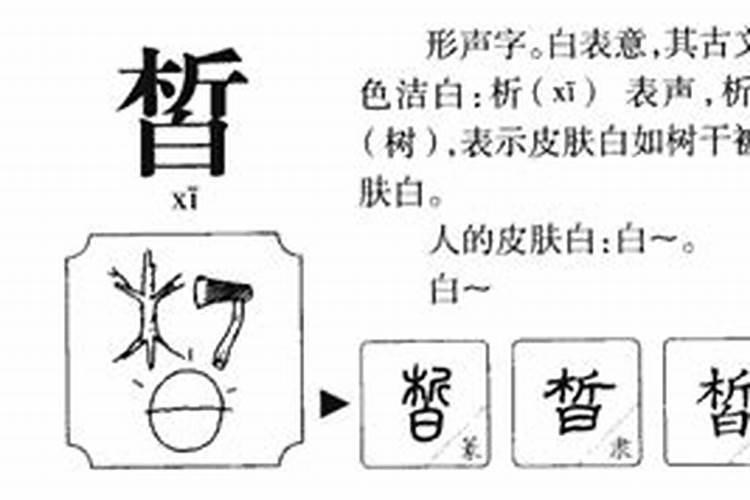 皙字五行属什么