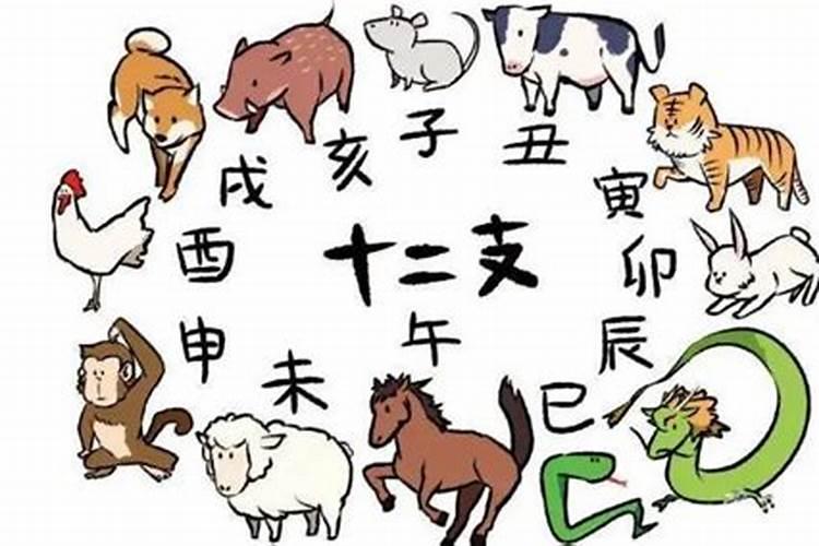 10号是什么生肖日