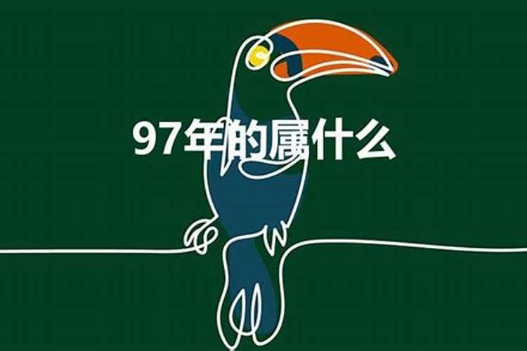 1984年12月23日是什么星座