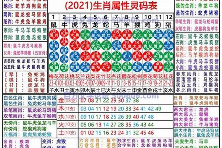 今天相冲生肖是什么肖