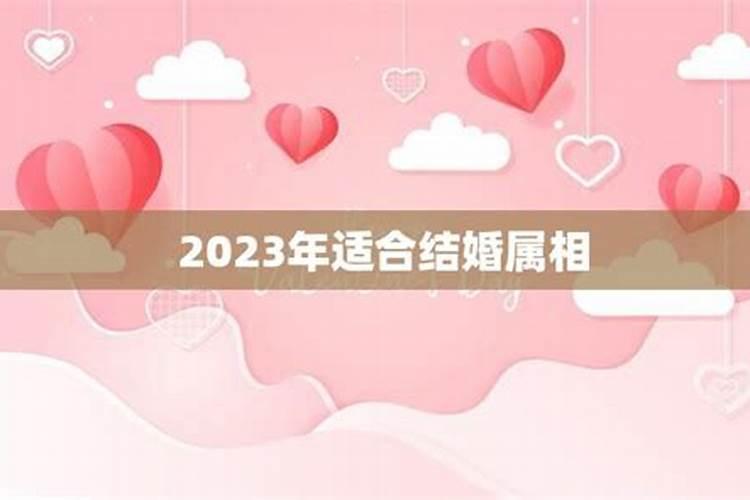 属相三会婚姻