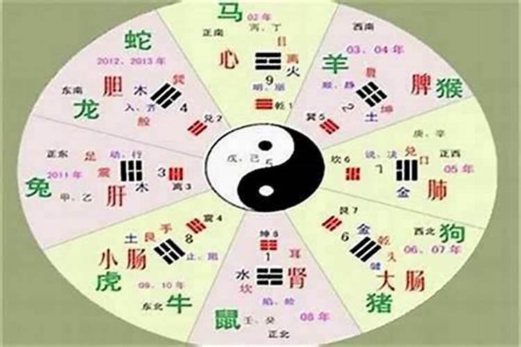 美字的五行属性是什么