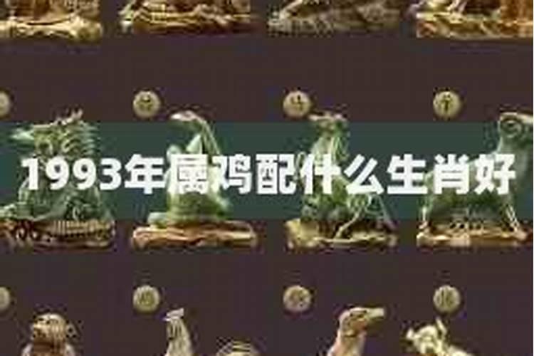 1995是什么星座