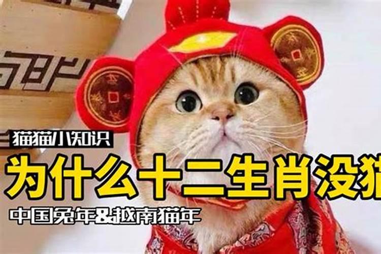 十二生肖为什么没有猫