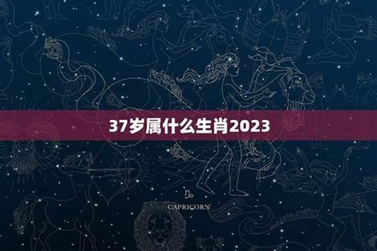 属蛇2023年全年运势运程女性