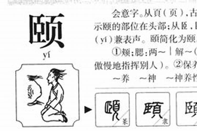 颐字五行属什么