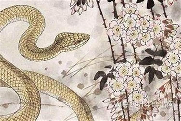 属蛇的和属蛇的婚姻相配吗