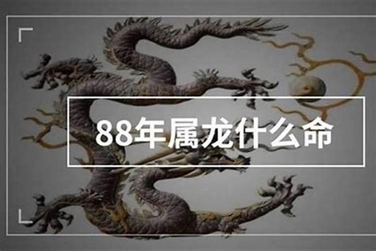 1988年属龙什么命