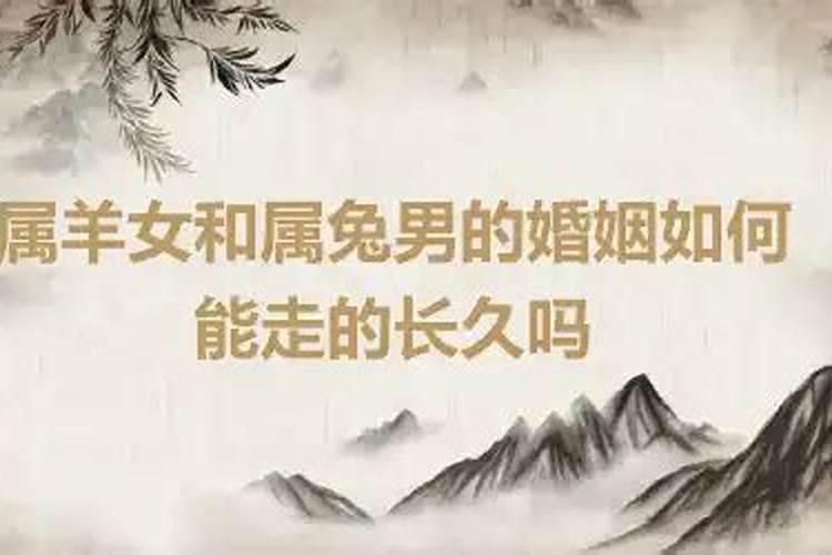 属羊的和属兔的相配吗