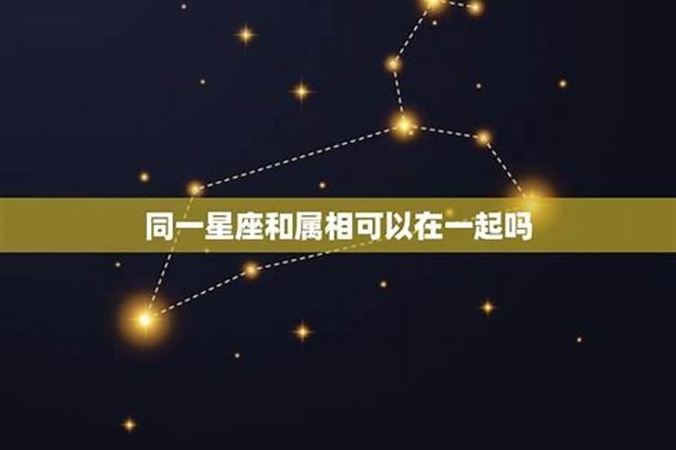 同星座的人适合在一起吗