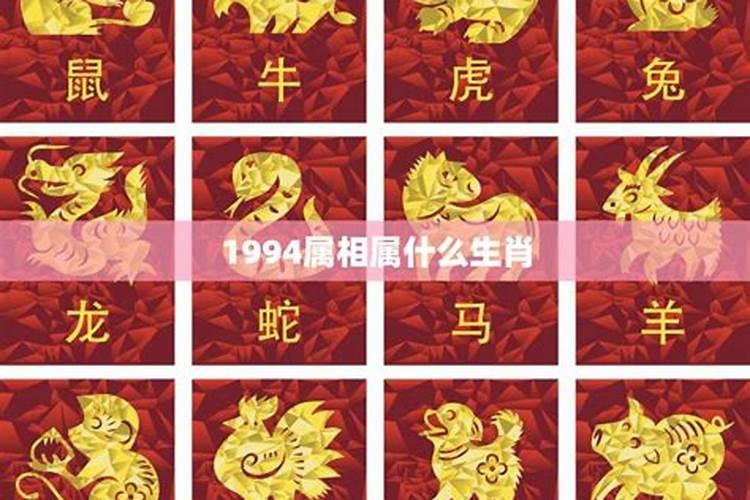 1994年生肖属什么