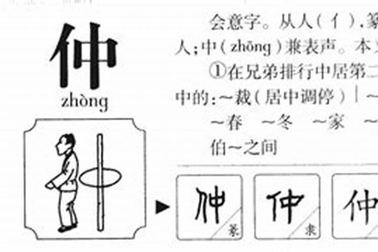 仲字五行属什么