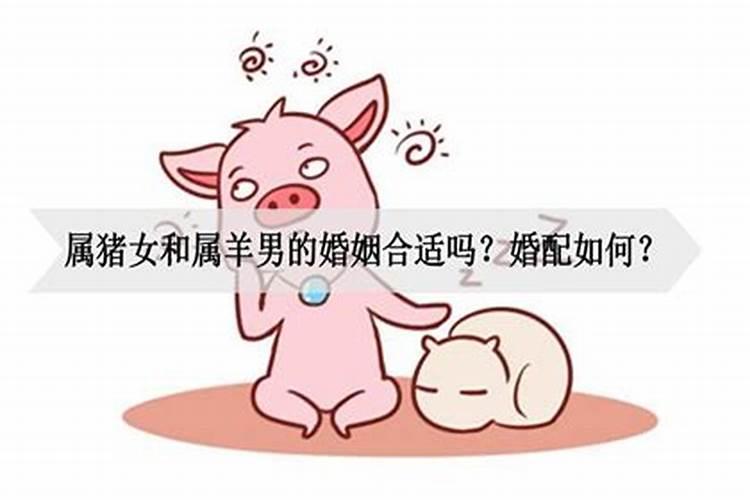 属猪女和属猪男的婚姻怎么样